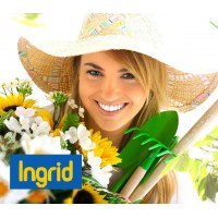   Ingrid THOR (   )